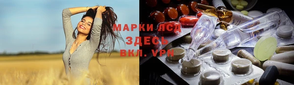 PSILOCYBIN Алзамай