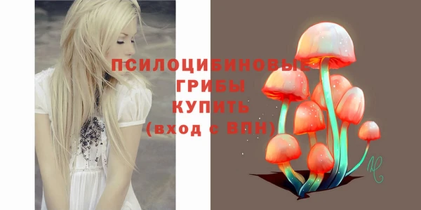 2c-b Козловка