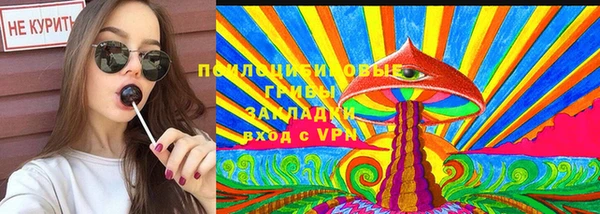 PSILOCYBIN Алзамай