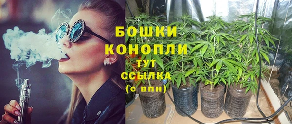 PSILOCYBIN Алзамай
