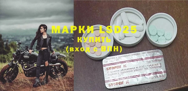PSILOCYBIN Алзамай