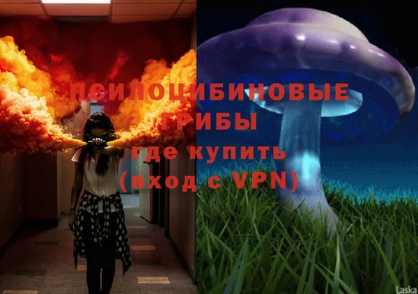 не бодяженный Алексин