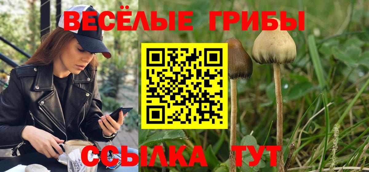 Феодосия  Галлюциногенные грибы Magic Shrooms  Вход с VPN 